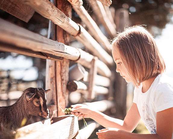 Child feeding baby goat